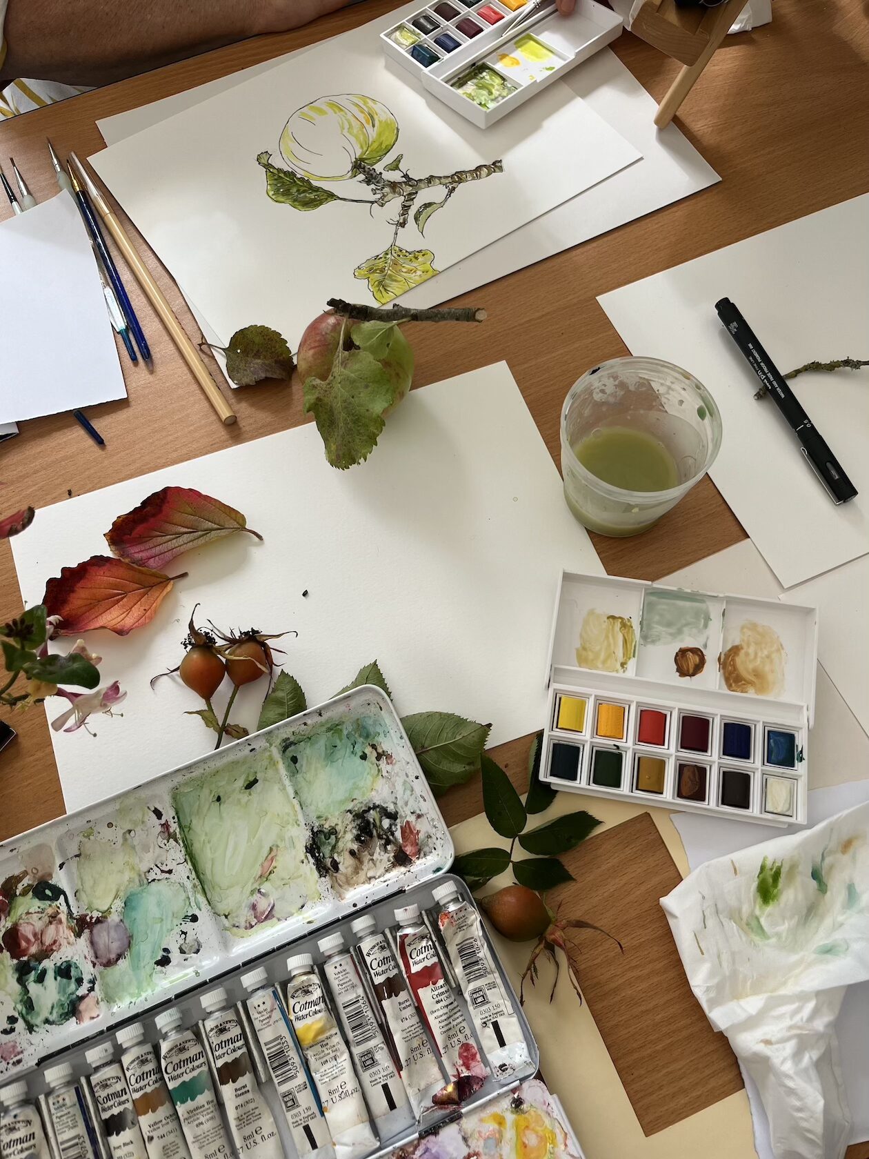 Botanical Painting Workshop