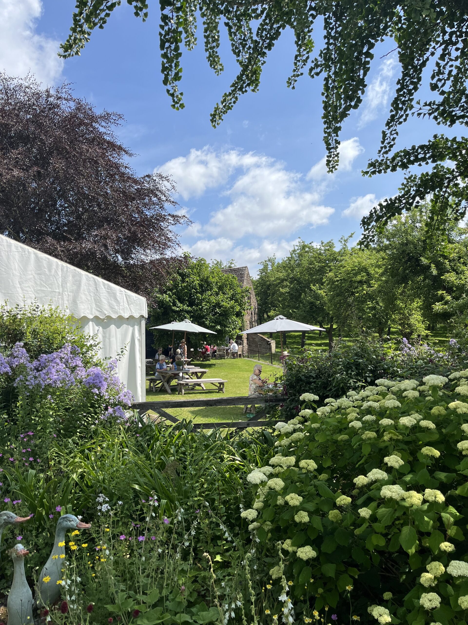 View of the cafe garden