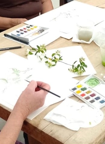 Botanical Painting Workshop
