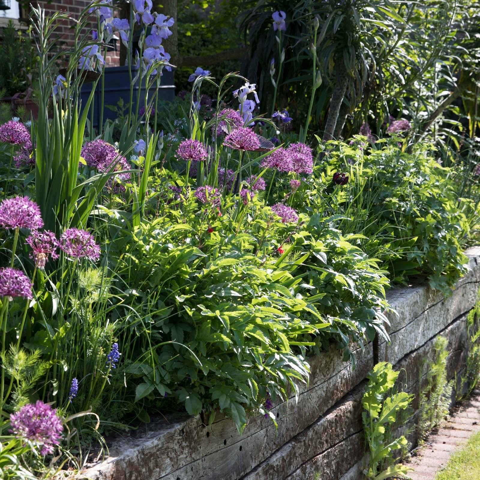 How to garden in raised beds (afternoon class)